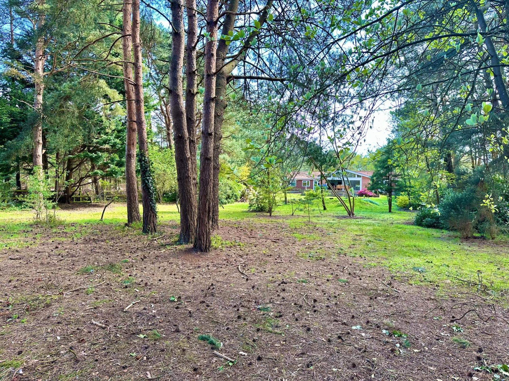 Relaxing Forest & Coast Hideaway Saint Leonards